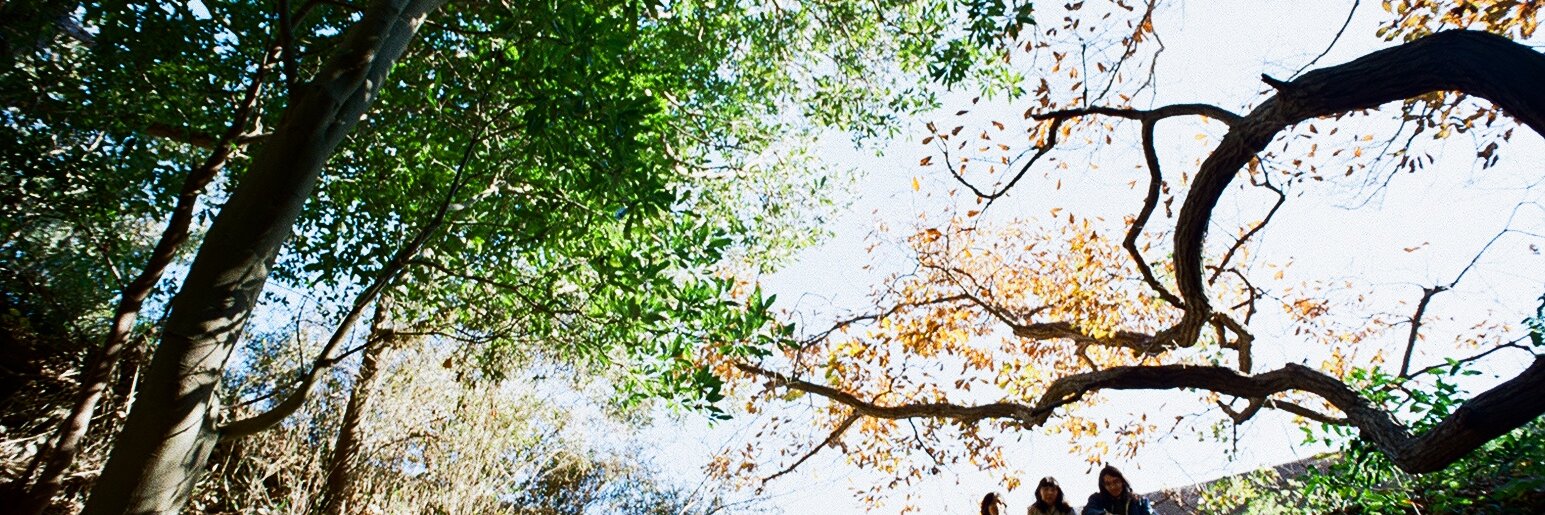 Botanical House banner