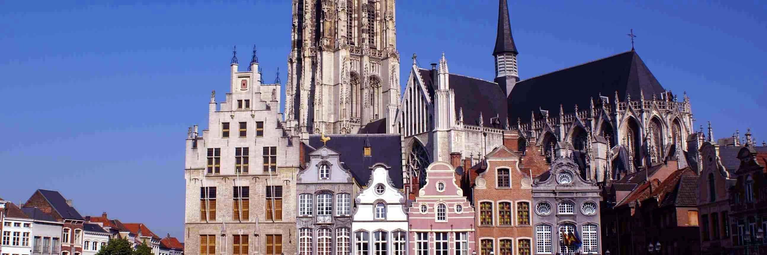 BelgianFacts's profile banner image