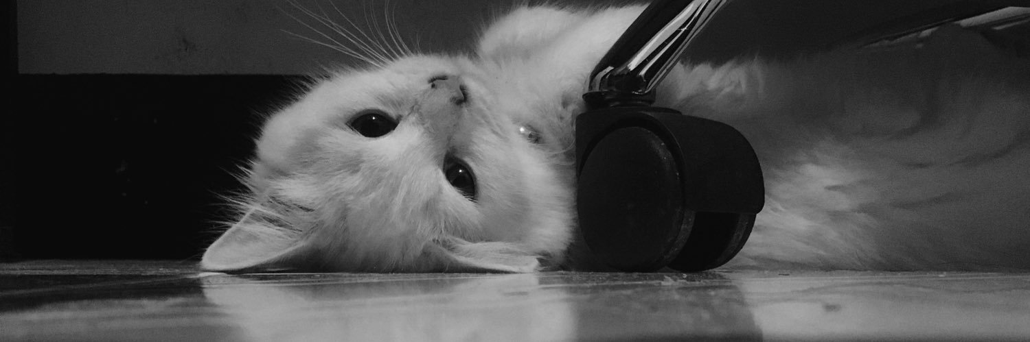 Caaassseee's profile banner image