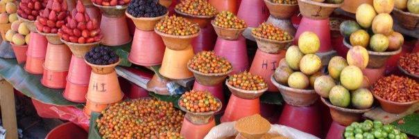 Camille Perrin banner