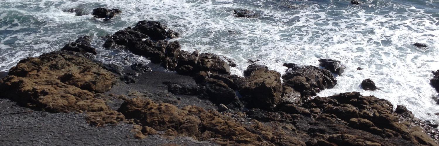 KSanimallover banner