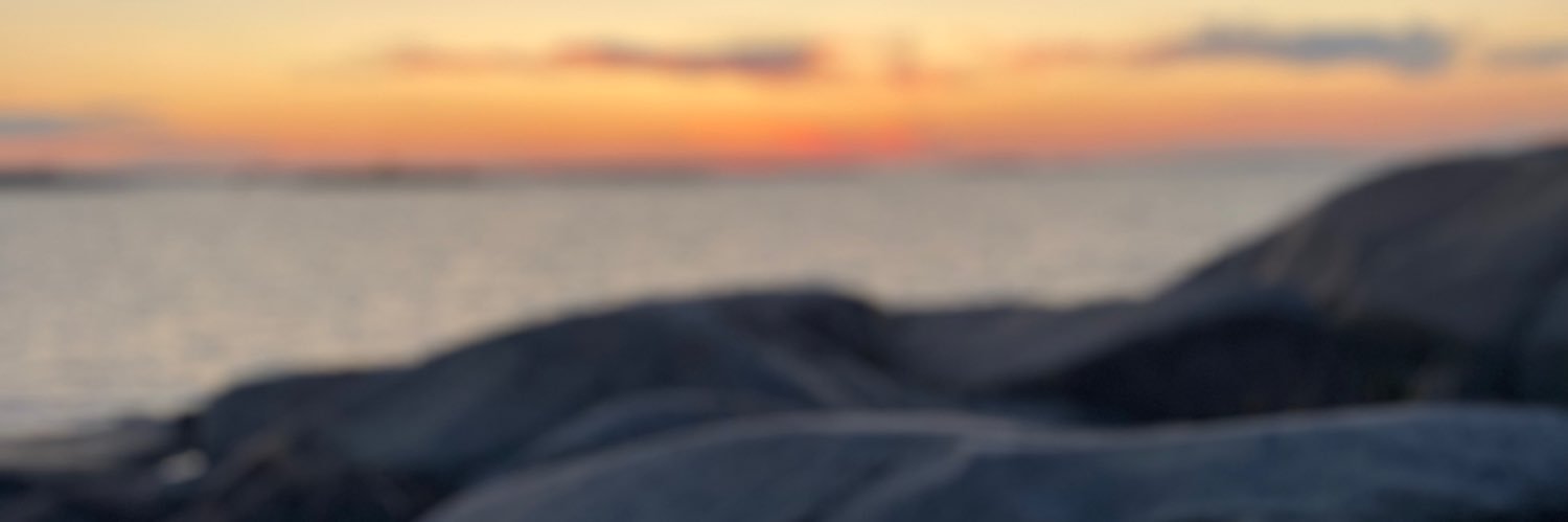 Jessica Ålgars 🇫🇮🇺🇦 banner