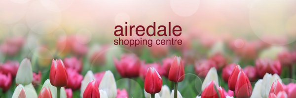 AiredaleSC Profile Banner