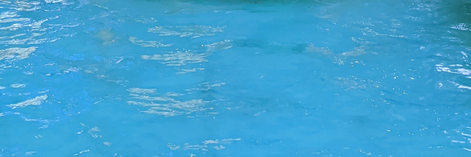ss banner
