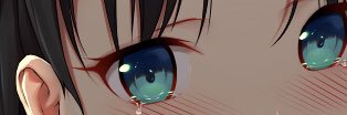 Mora bobo banner