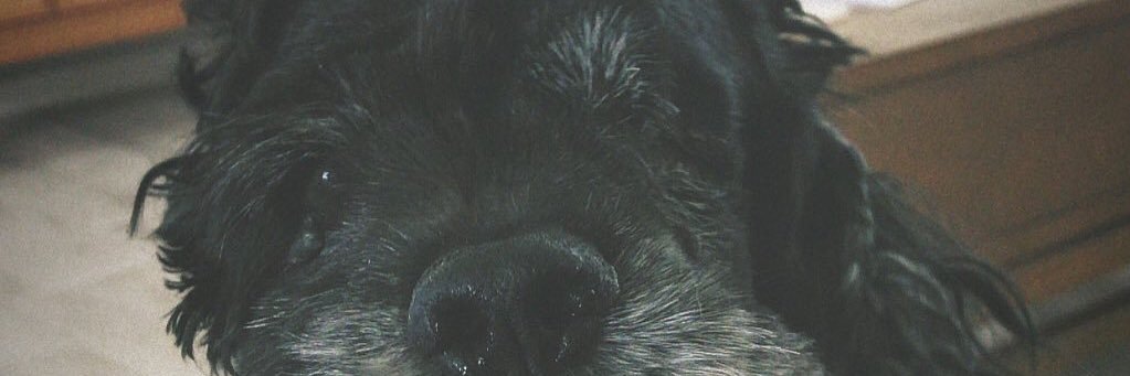 _anonymoustits's profile banner image