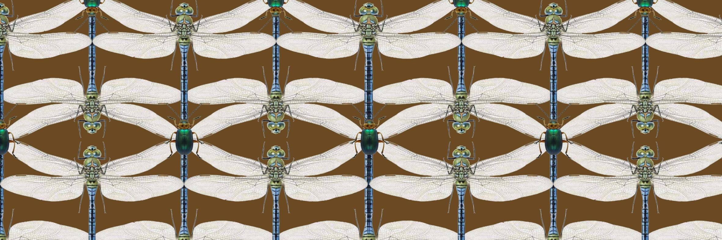 CrocusDesign's profile banner image