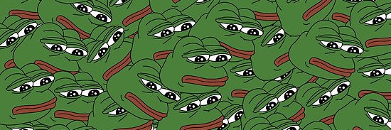 SmugCapybara's profile banner image