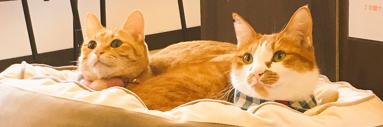taofua's profile banner image