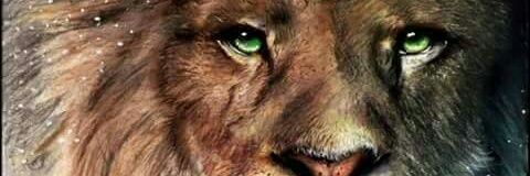 tathibges's profile banner image