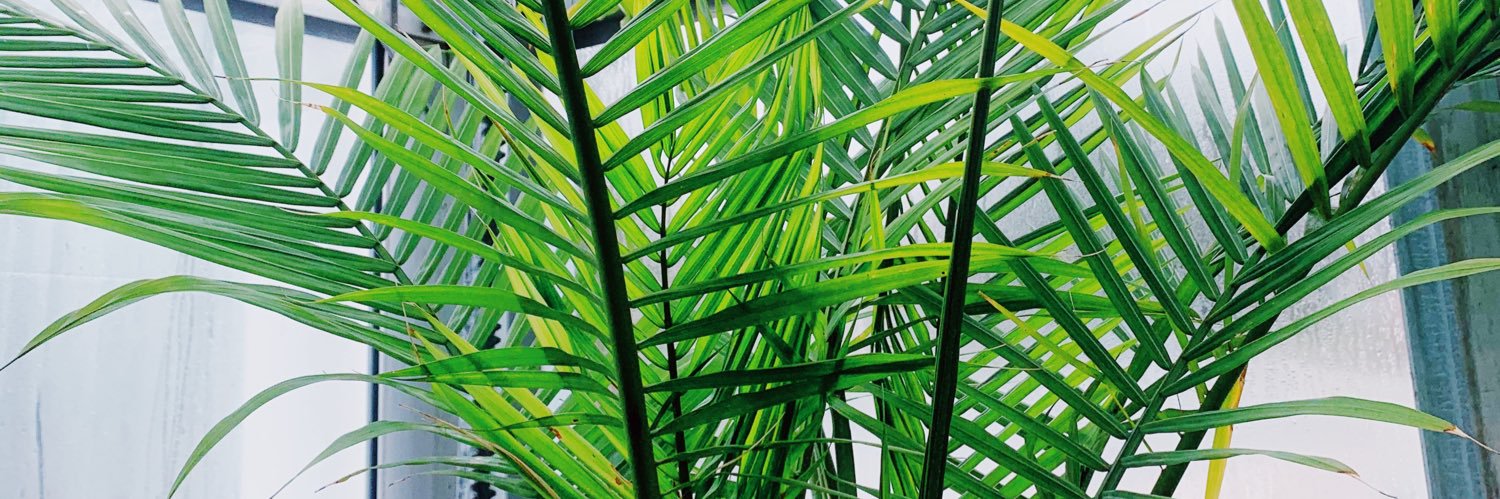 melinanuttall's profile banner image