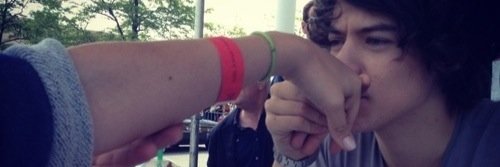 flannelharry's profile banner image