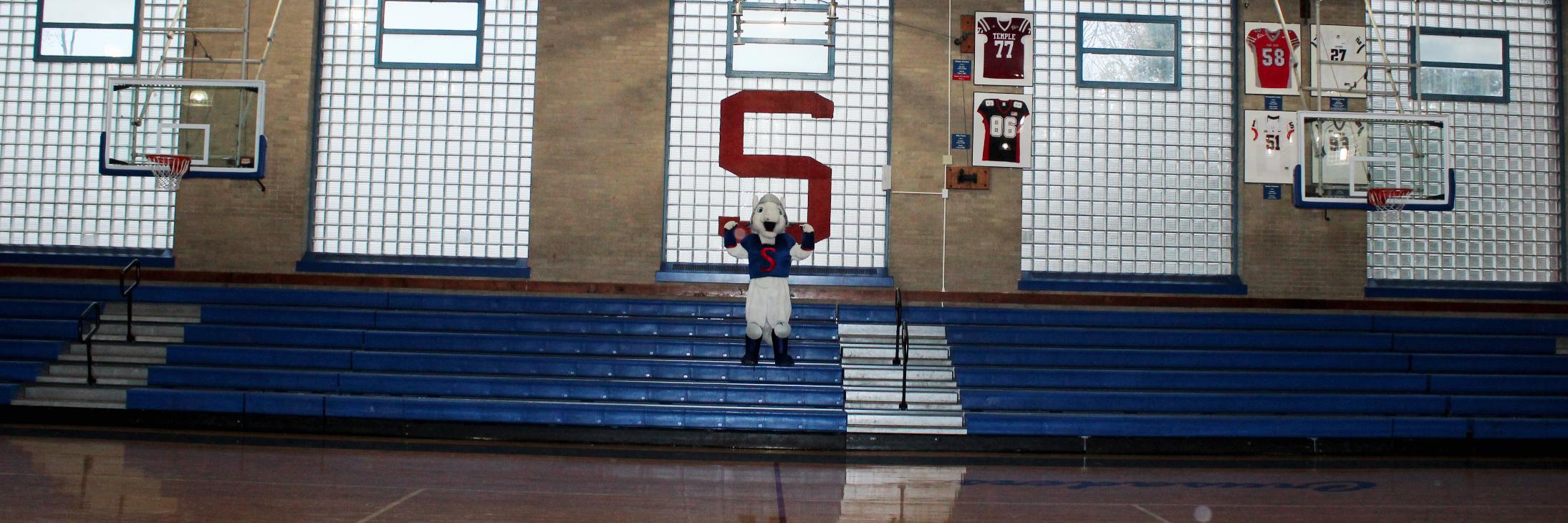 Stepinac MSG Varsity banner