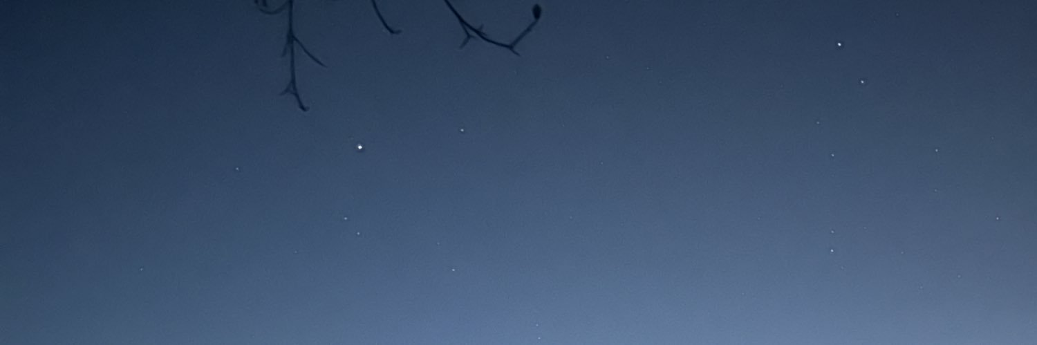 PaxtonBridges's profile banner image
