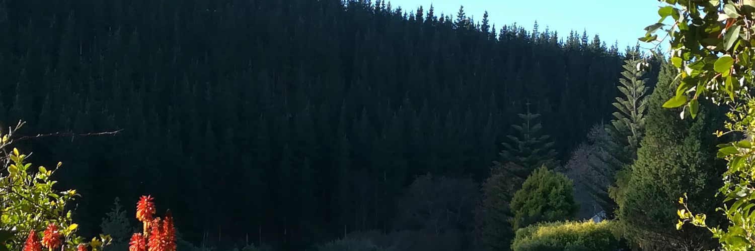 Oliver08011's profile banner image