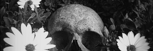 ozgeugras's profile banner image