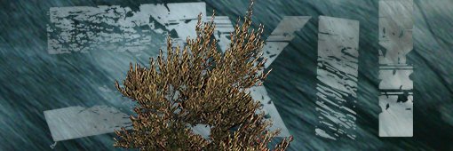 festival_PL's profile banner image