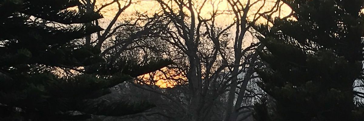 TAP78692's profile banner image