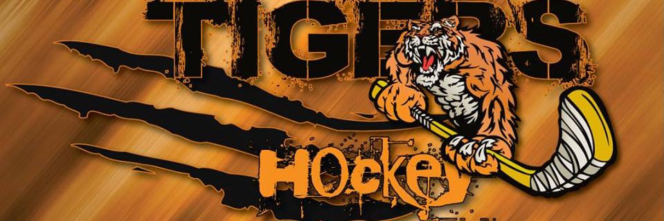DAYHATiger's profile banner image
