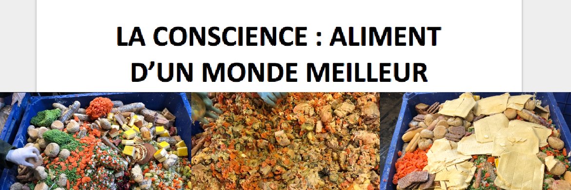 What The Food banner