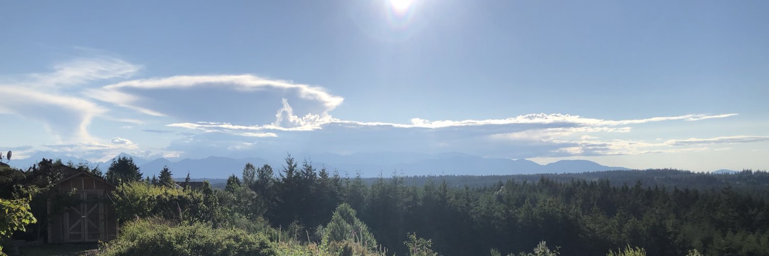 celestialcel_'s profile banner image