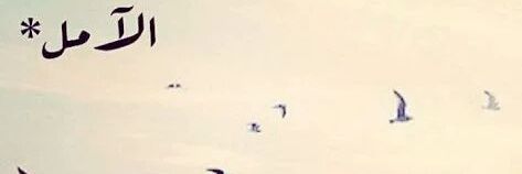 GramTota's profile banner image