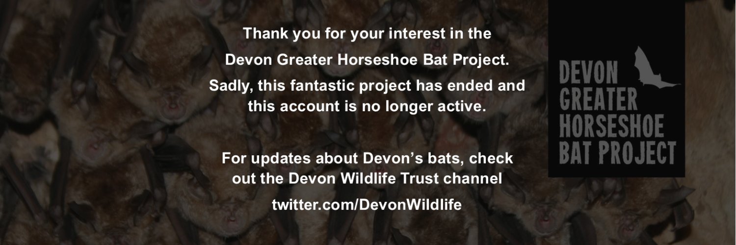 Devon Bat Project banner