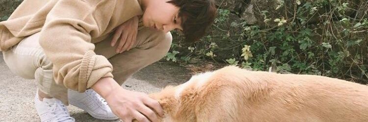 __u__b's profile banner image