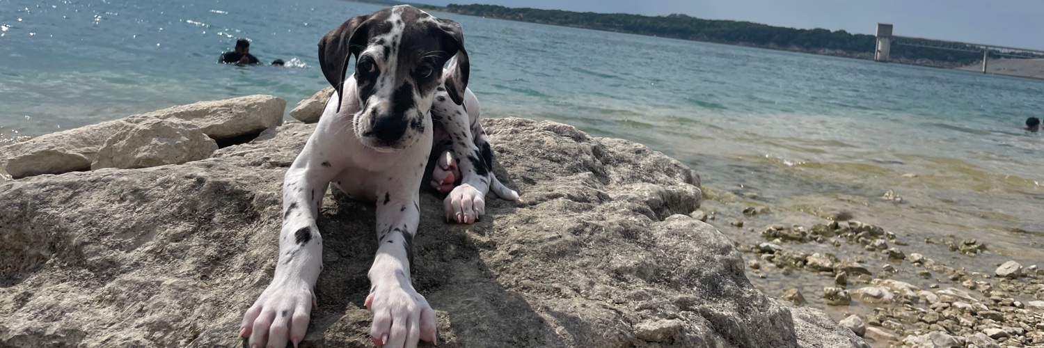 AdriannRG7's profile banner image