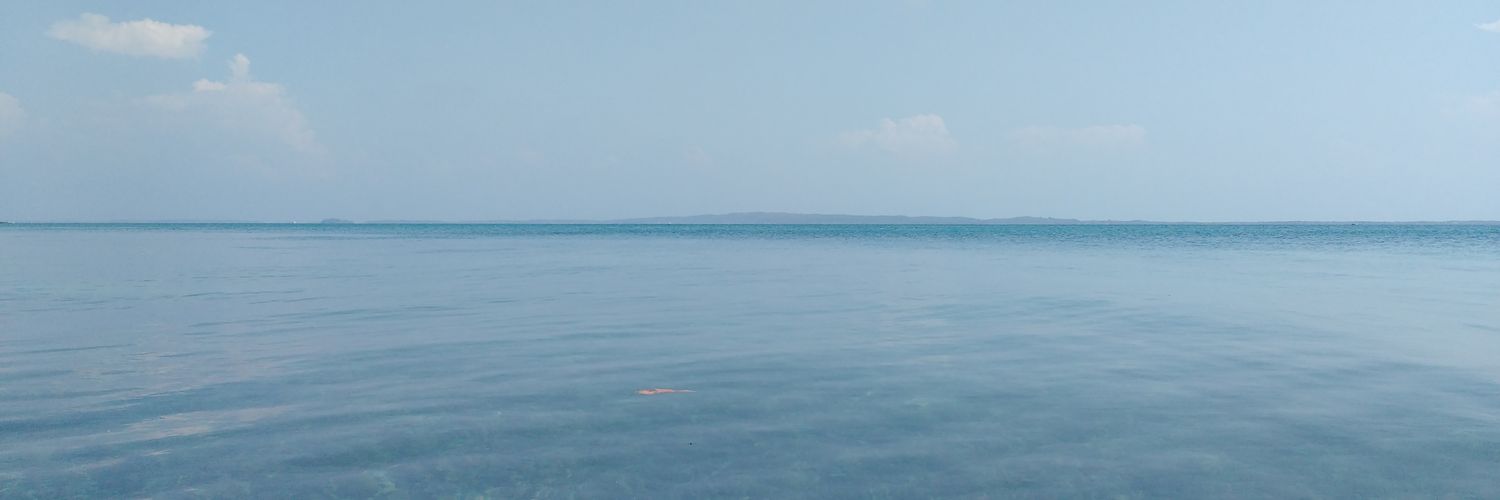 Santiagopht_ banner