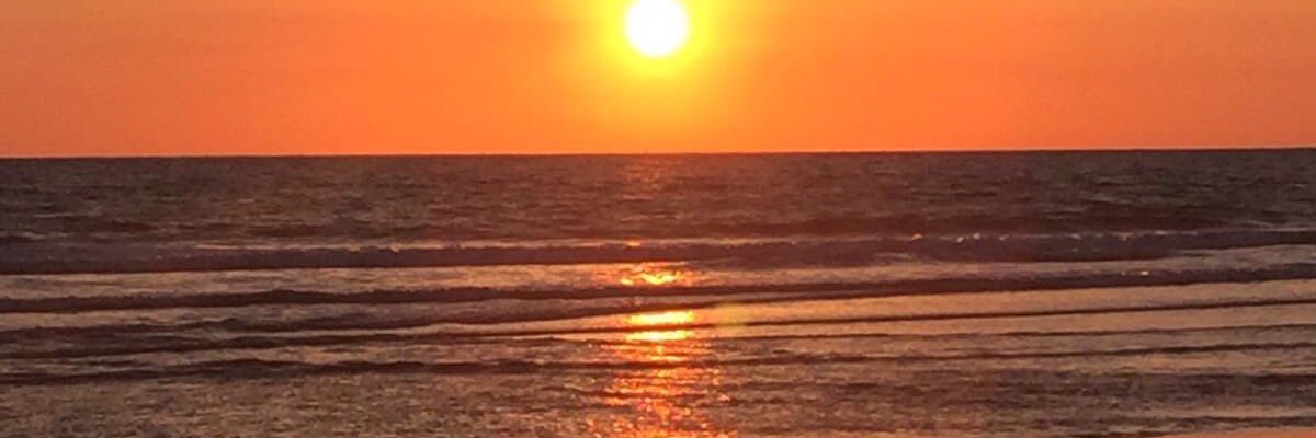 Leonor Rodríguez banner