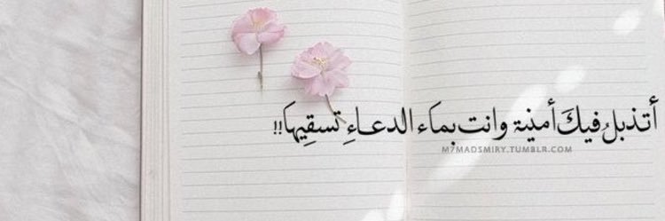 nane4495's profile banner image