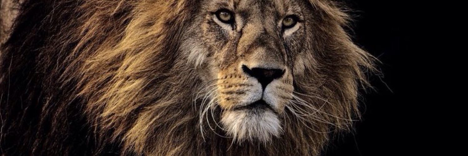 Marski213's profile banner image