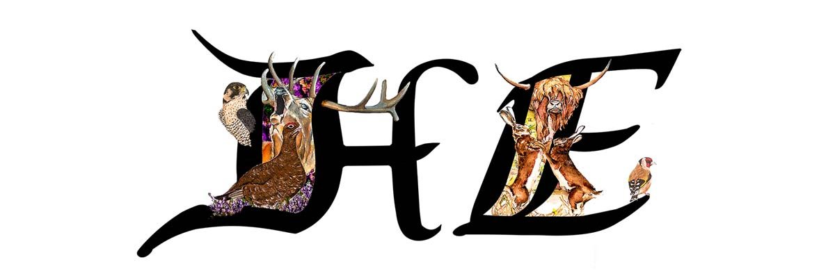 helenstudios's profile banner image
