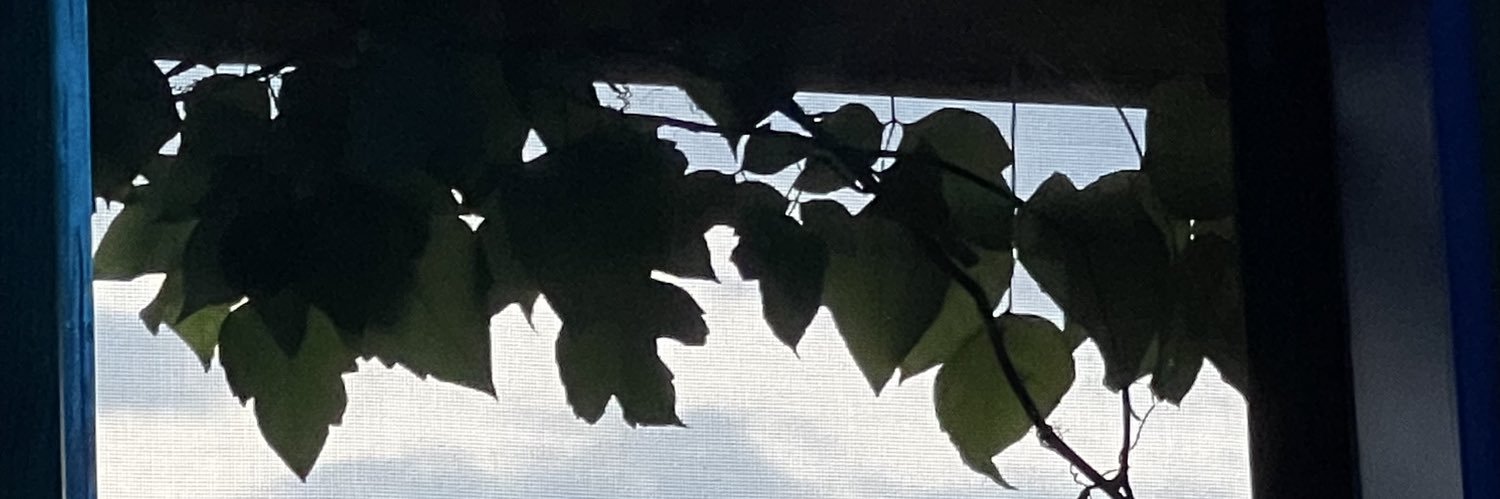 philj641's profile banner image
