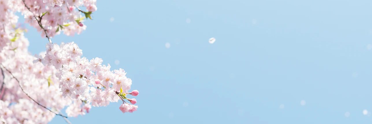 Lyditititi's profile banner image