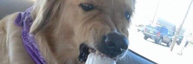 GilbertLoaf's profile banner image