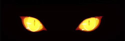 Venus ♂ banner