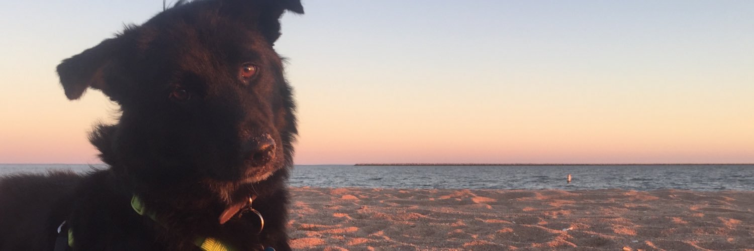 jenpai_'s profile banner image