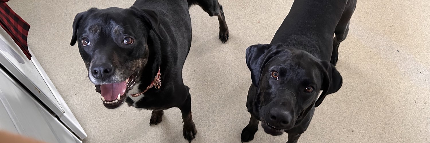 Amber M 🌻☮️ banner