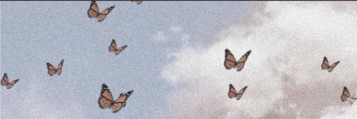 cass__serrano's profile banner image