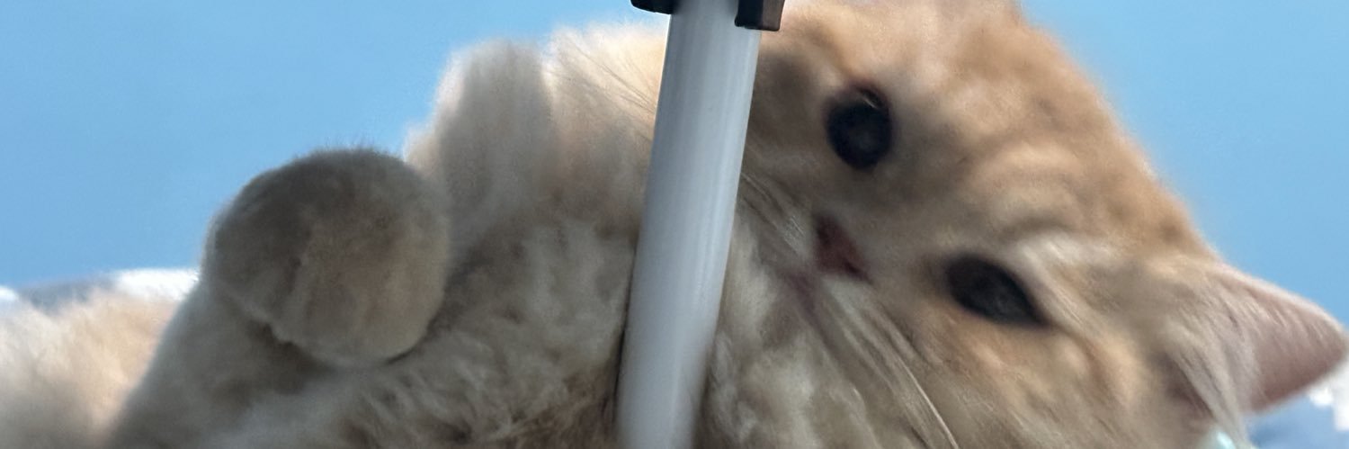 licero banner