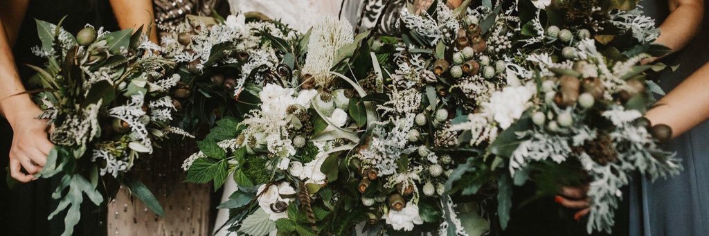 Lexi_Policky's profile banner image