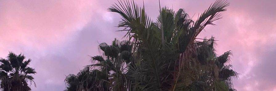 _W00lridge's profile banner image