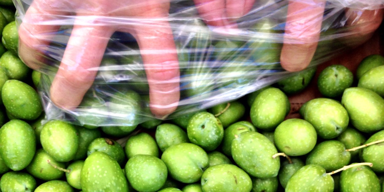 Pop Produce banner