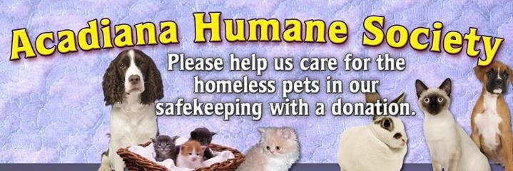 mycatranch's profile banner image