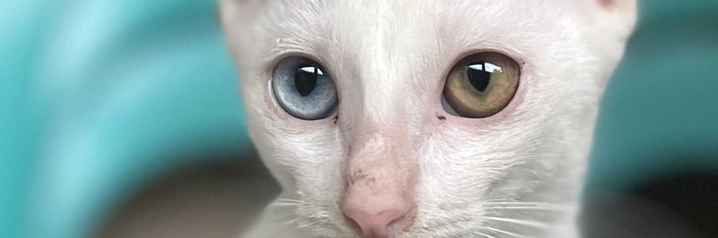 imguadz's profile banner image