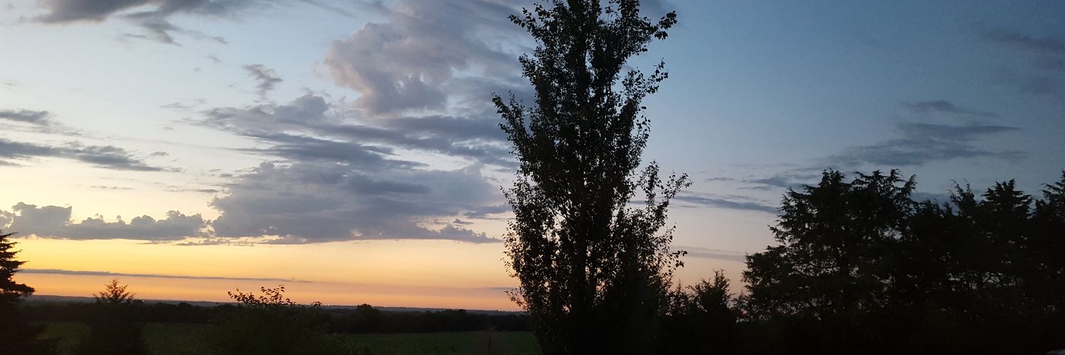clwills's profile banner image
