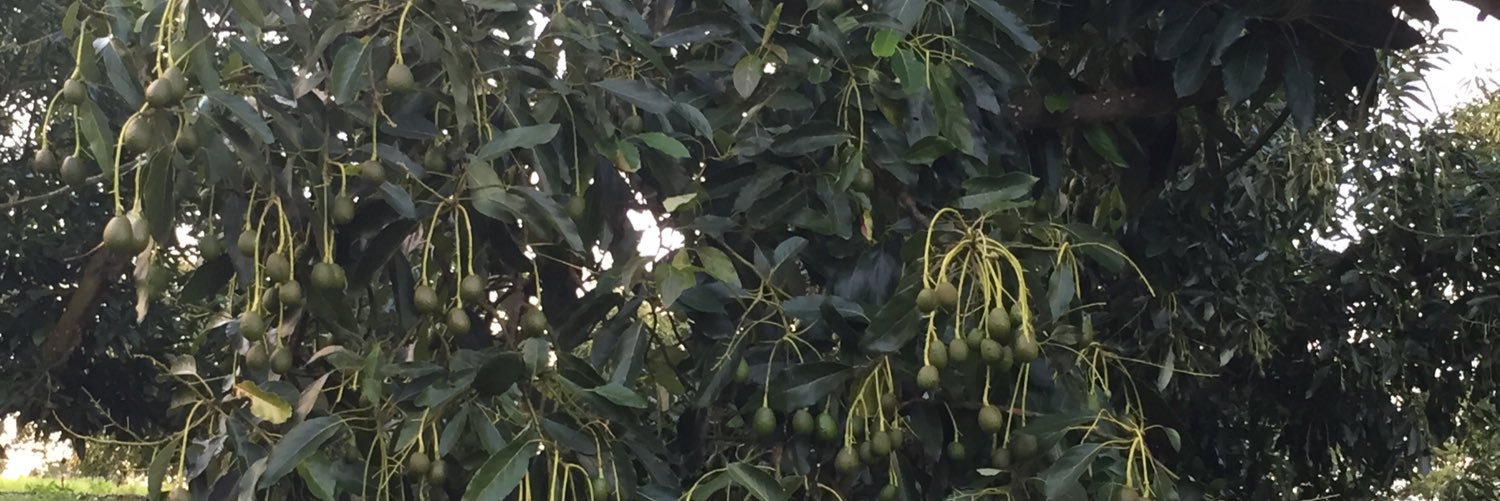 Daryl Boardman banner