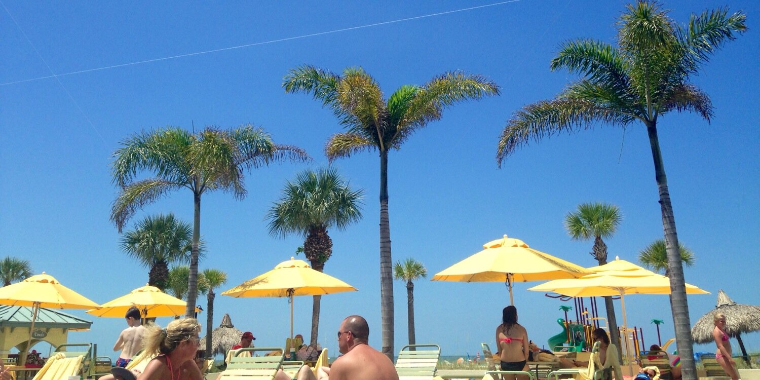 Candice Martin banner